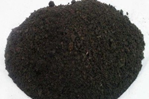 新鮮的雞糞可以用來種藤本月季嗎？