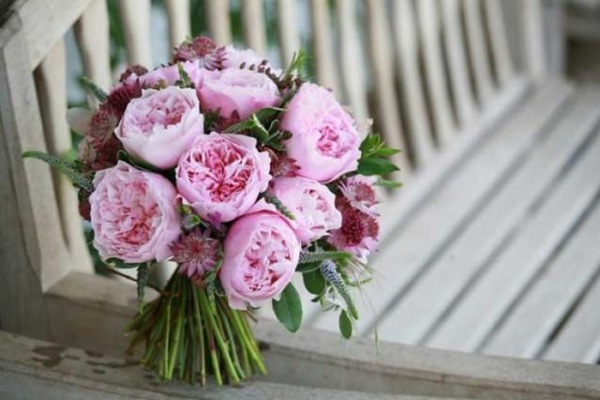 月季為什么不肯開(kāi)花？