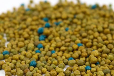冬天，該施緩釋肥啦！月季的常用肥料詳解！