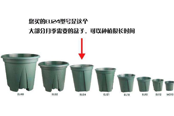 什么是控根盆，它有什么優(yōu)點(diǎn)？