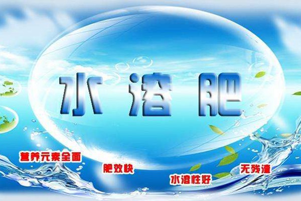 月季最常用的「水溶肥」，挑選關鍵在于“鈣”和“鎂”