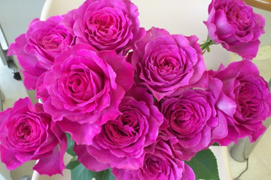 伊芙藍寶石