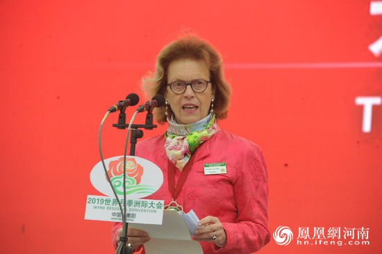 南陽月季甲天下！2019世界月季洲際大會開幕