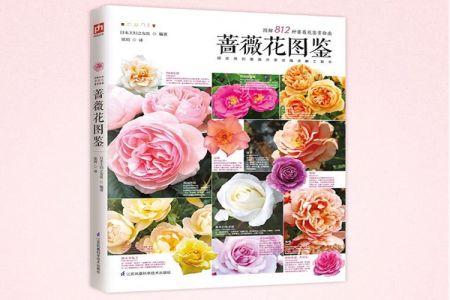 藤本月季網(wǎng)征稿，紅包、實物獎品等你來拿！
