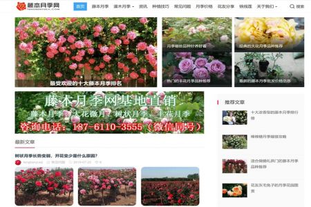 中國月季網(wǎng)、南陽月季網(wǎng)、月季網(wǎng)這幾家月季網(wǎng)站有什么不同