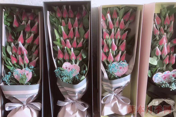 玫瑰花網(wǎng)套什么時候套，怎么套？