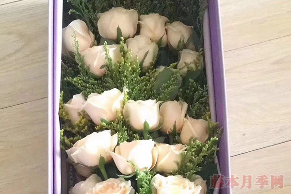 玫瑰花網(wǎng)套什么時候套，怎么套？
