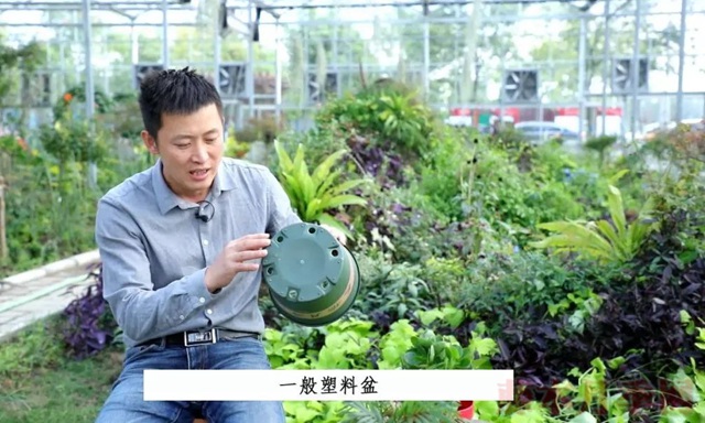 月季入手前必須了解的換盆小知識(shí)！