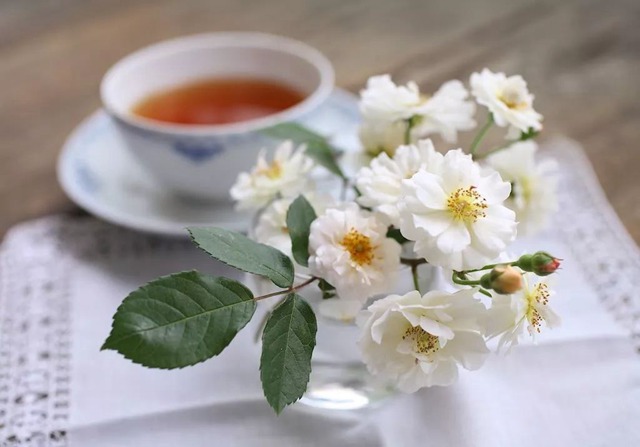 陽臺種植藤本月季花柱，從零開始打造實(shí)錄