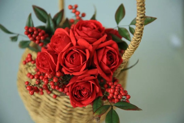 紅蘋果Red Apple Rose 紅蘋果Red Apple Rose
