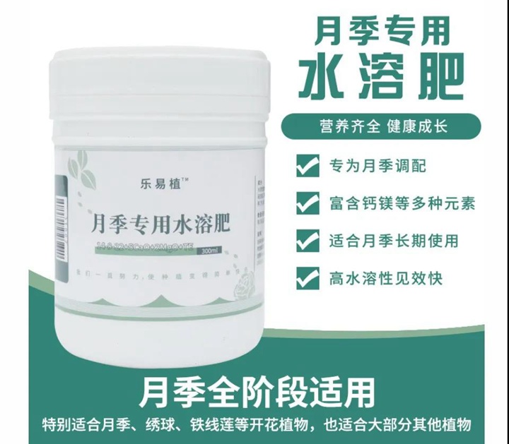 月季水溶肥 月季水溶肥