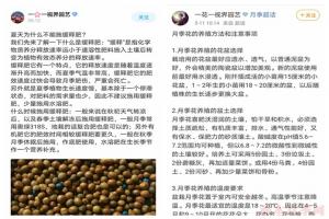扦插月季7天之內(nèi)即可生根的注意事項(xiàng)，全在這里了！