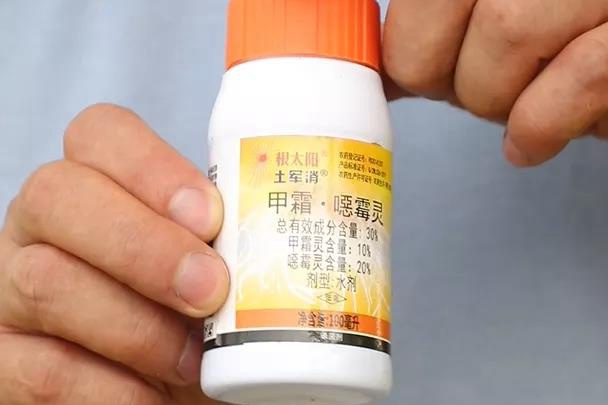 月季換盆后的舊土不要扔，這樣處理還能用！