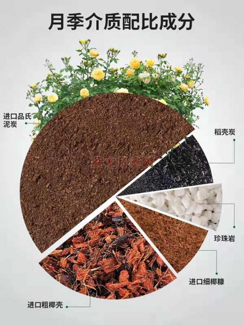 泥炭土和椰糠哪個好？