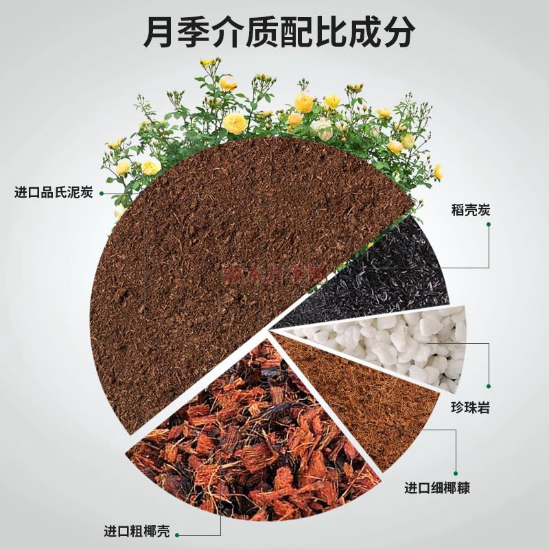 花土里放河沙好還是珍珠巖好？