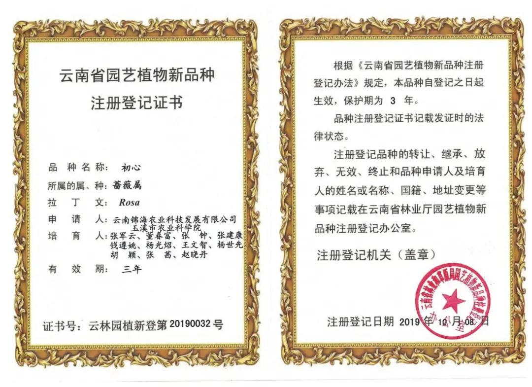 初心 初心