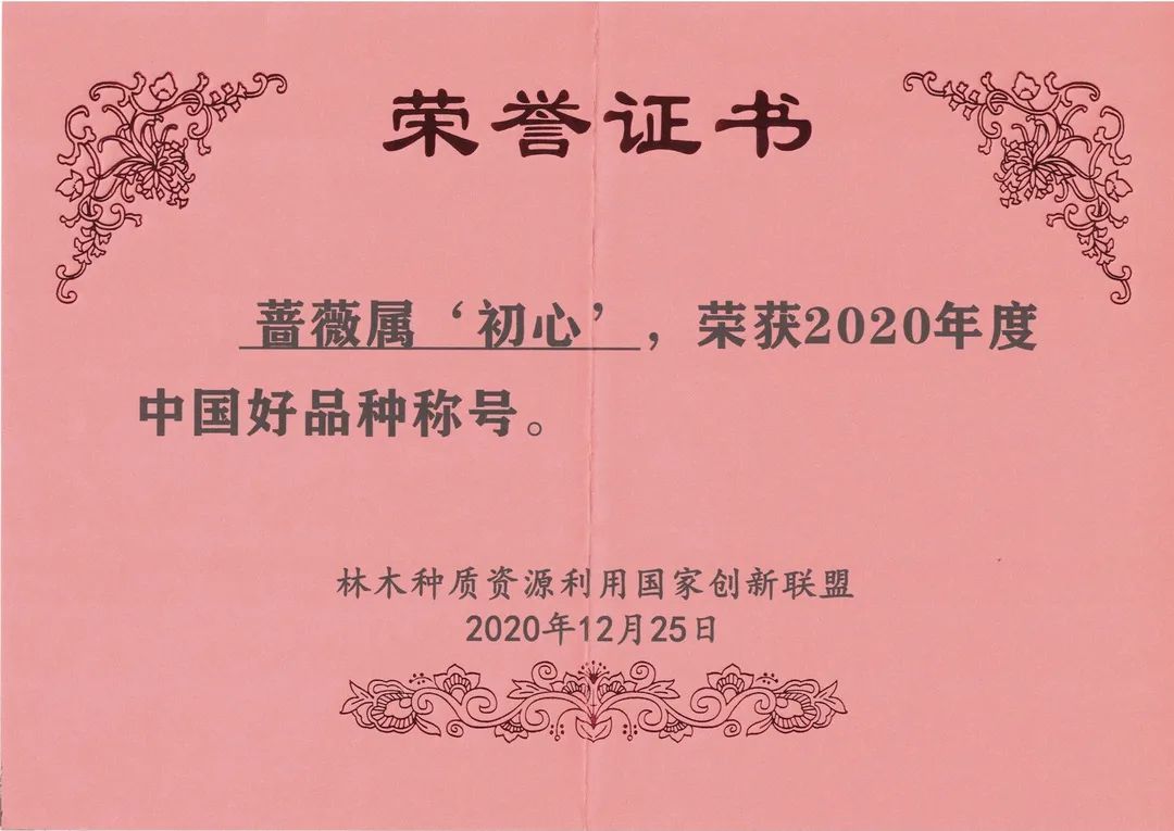 初心 初心