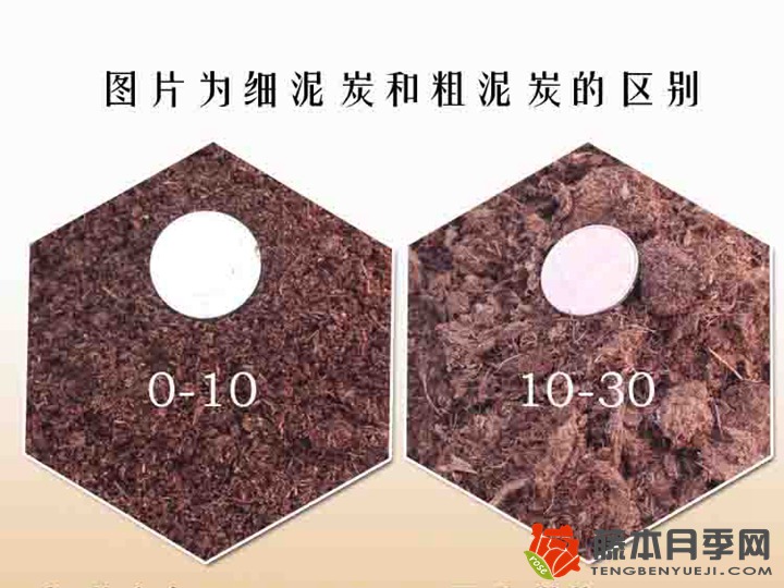 粗泥炭和細(xì)泥炭有什么區(qū)別？