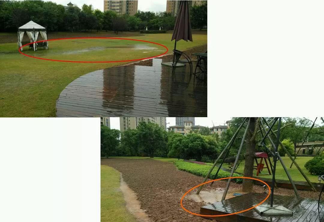 暴雨過后，草坪如何養(yǎng)護(hù)才能快速恢復(fù)生機(jī)？
