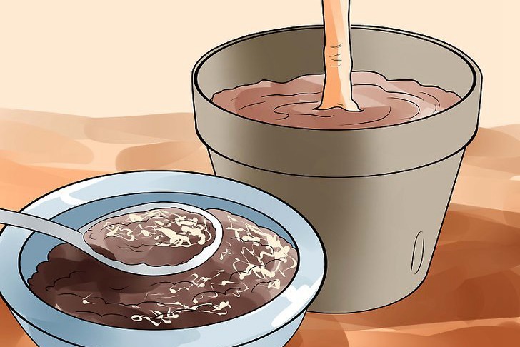 咖啡渣可以用來種花嗎，怎么用？