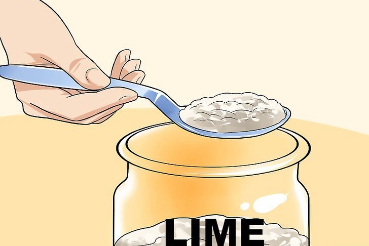 咖啡渣可以用來種花嗎，怎么用？
