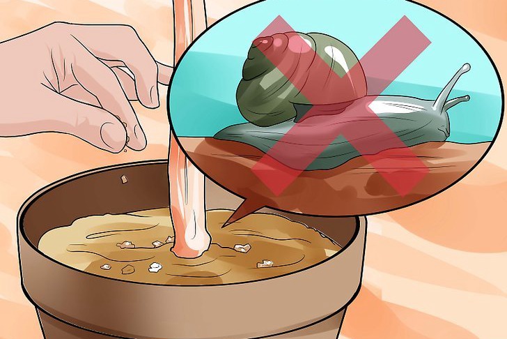 咖啡渣可以用來種花嗎，怎么用？