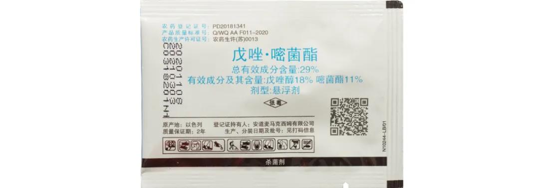 月季保姆級配藥教程,多種病蟲害一次搞定 月季保姆級配藥教程,多種病蟲害一次搞定