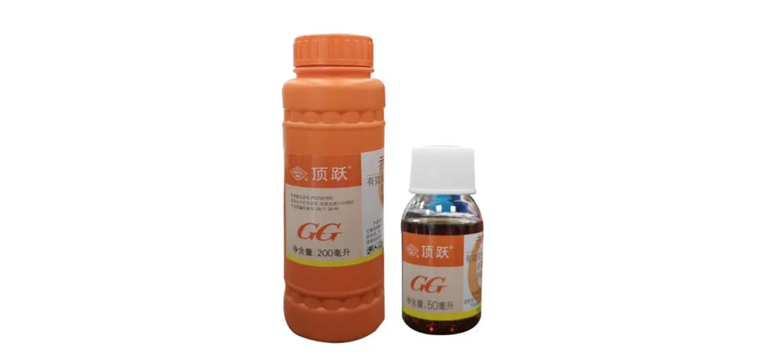 月季保姆級配藥教程,多種病蟲害一次搞定 月季保姆級配藥教程,多種病蟲害一次搞定