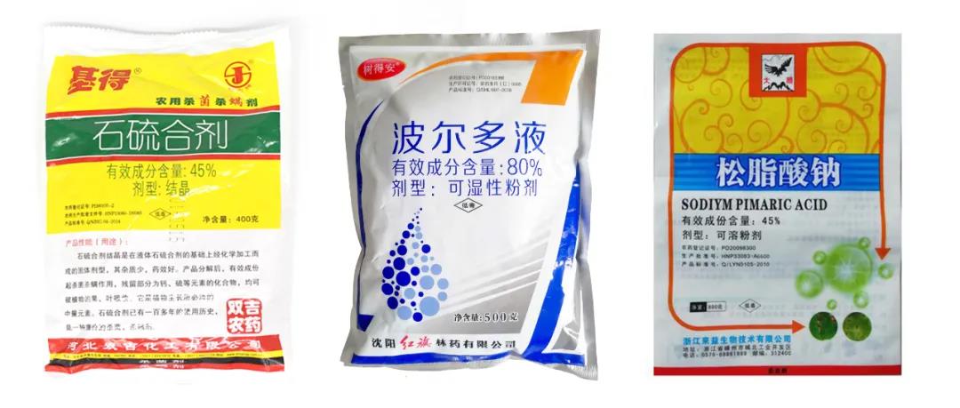 月季保姆級配藥教程,多種病蟲害一次搞定 月季保姆級配藥教程,多種病蟲害一次搞定