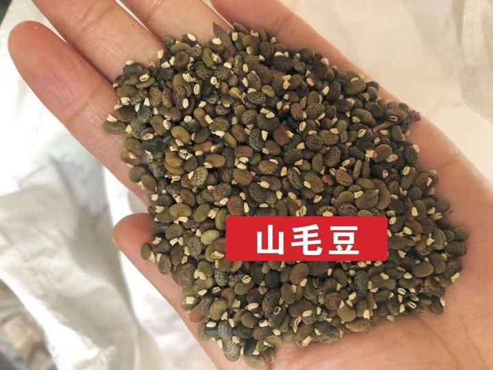 常用的護(hù)坡灌木種子有哪些？