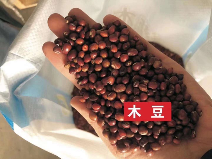 常用的護(hù)坡灌木種子有哪些？