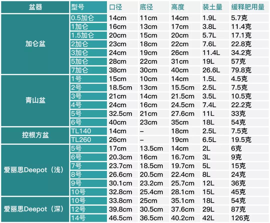 月季秋季復(fù)花指南 月季秋季復(fù)花指南