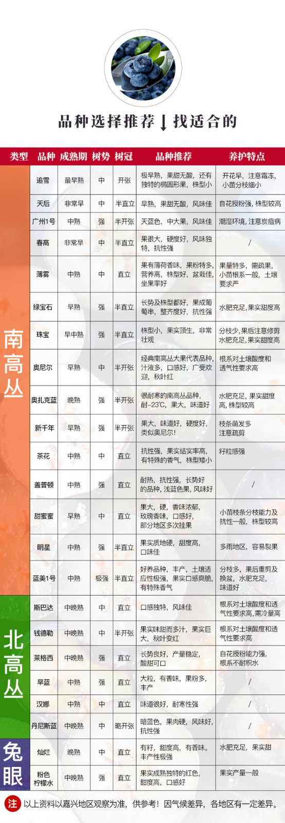 藍(lán)莓品種有哪些，藍(lán)莓品種如何選擇？