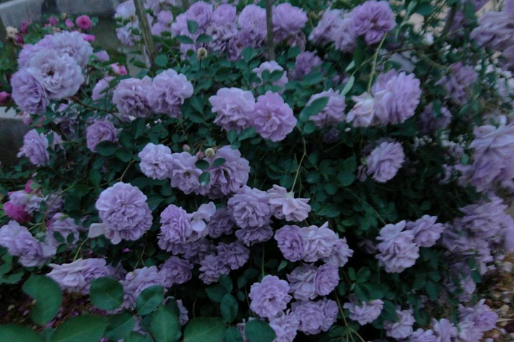 http://www.w5756com.com/d/file/202110/1634533655390674.jpg