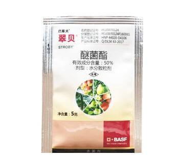 月季初春病害多，防治教程都在此。想要春暖花開，教你搞定病害