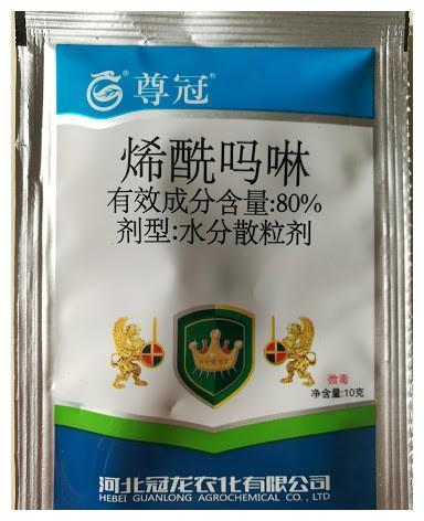 月季初春病害多，防治教程都在此。想要春暖花開，教你搞定病害