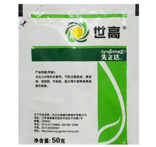 月季初春病害多，防治教程都在此。想要春暖花開，教你搞定病害