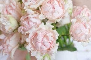 蘇芬/?？麑殞歋ofine