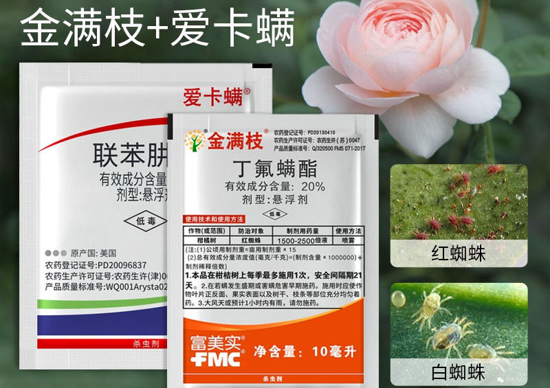 月季花種植常備藥有哪些(建議收藏)