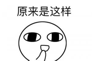 有關(guān)于月季的十個冷知識