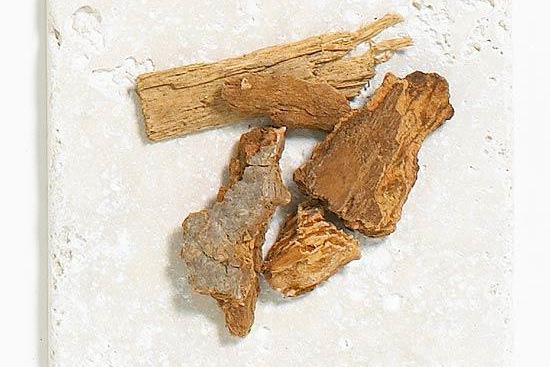 養(yǎng)花覆蓋物有哪些，有什么好處？