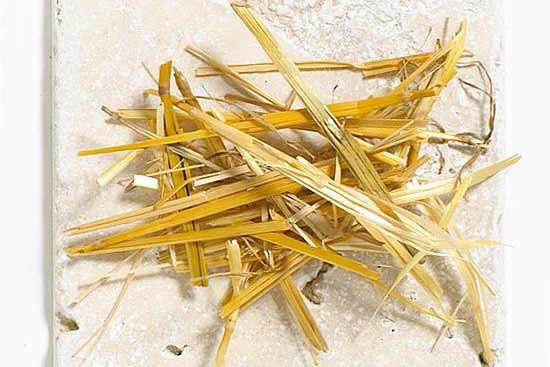 養(yǎng)花覆蓋物有哪些，有什么好處？