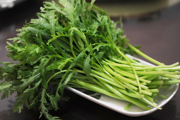 茼蒿什么時間種植好