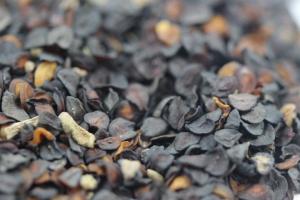 康乃馨種子幾月播種最好，播種到開花需要多久