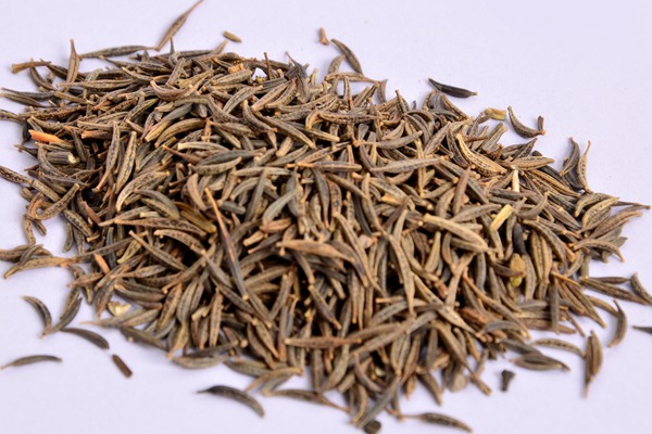 格?；ǚN子怎么種，需要泡水催芽嗎？