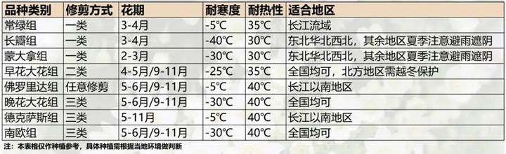 鐵線蓮能露天過(guò)冬嗎
