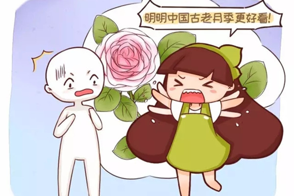 別再迷戀歐月，咱中國的古老月季，快絕種了