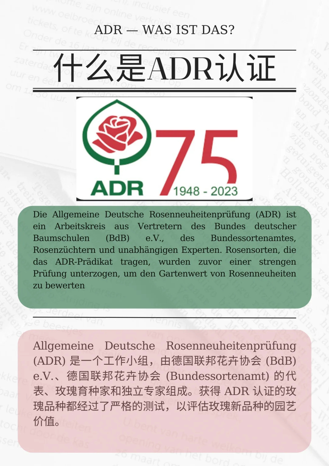 什么是ADR認(rèn)證，ADR月季官網(wǎng)名單