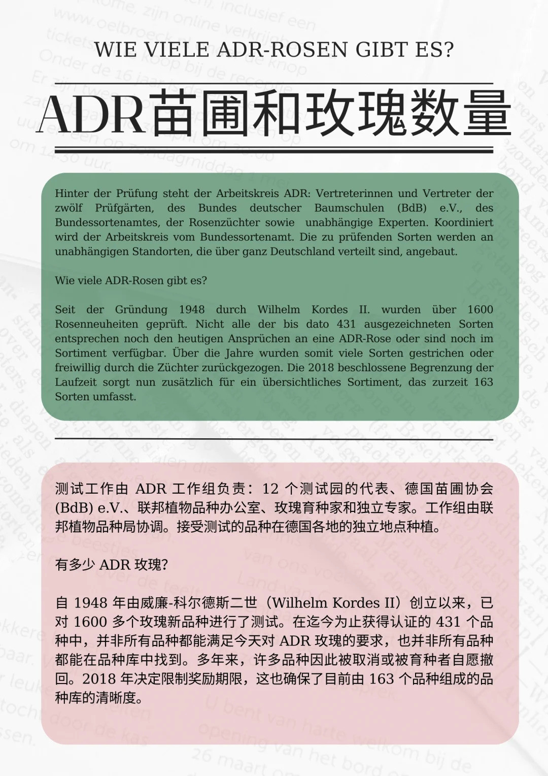 什么是ADR認(rèn)證，ADR月季官網(wǎng)名單
