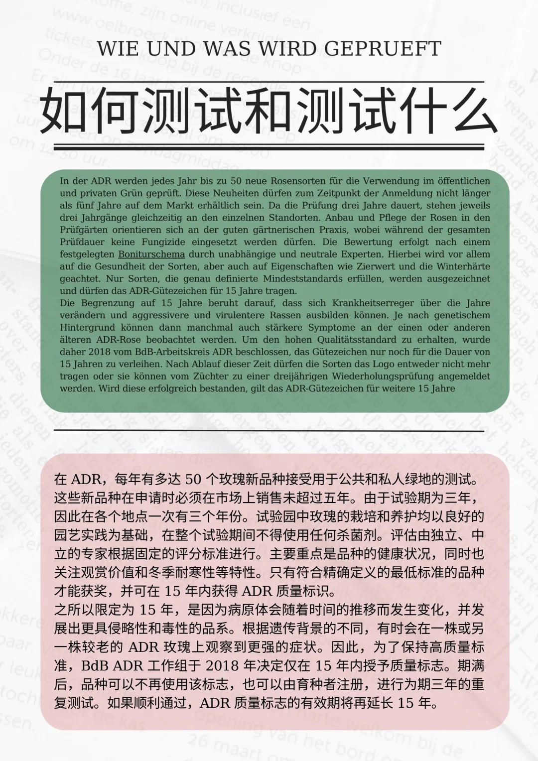 什么是ADR認(rèn)證，ADR月季官網(wǎng)名單
